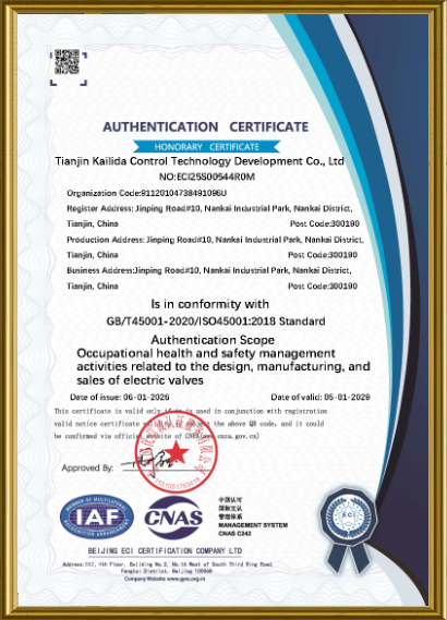 ISO45001 Certification for Motorized Valve Design, Manufacturing, and Sales